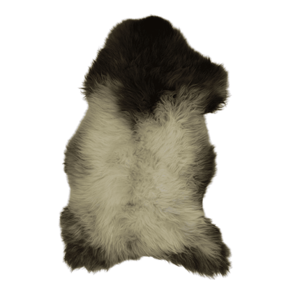 Echte schapenvacht van de blauwe Texelaar - natuurlijke vachten