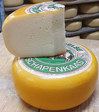 Texelse schapenkaas van Wezenspyk