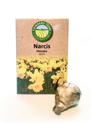 Narcis Texel