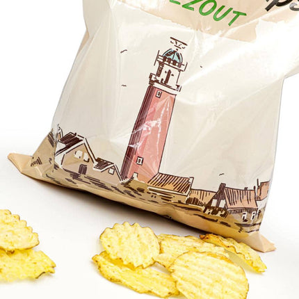Texel Products zeezout chips