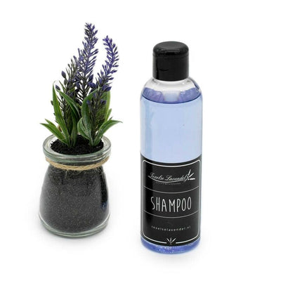 shampoo Texel