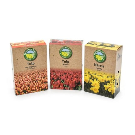 Texel products bloembollen