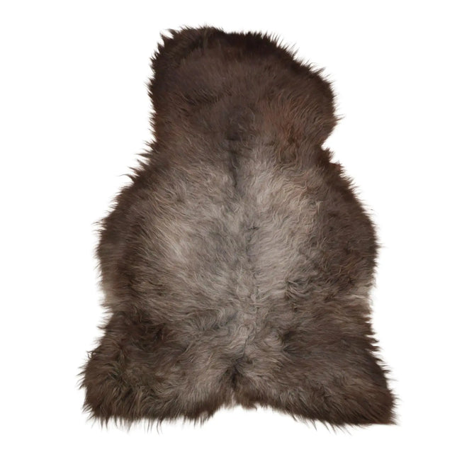 schapenvachten blauwe texelaar