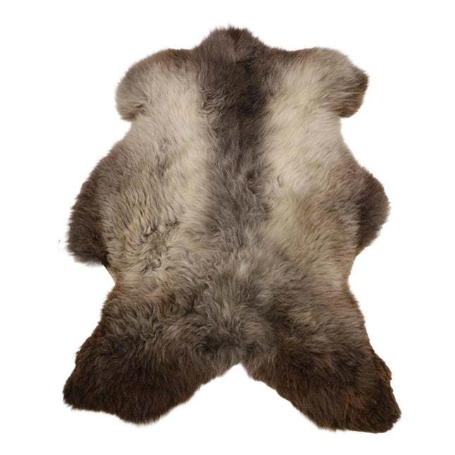 Blauwe Texelaar vachten