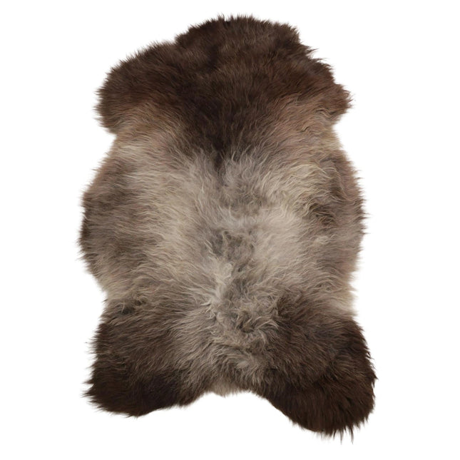 vachten Blauwe texelaar online