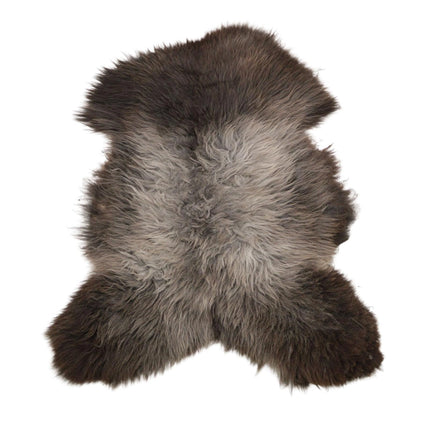 Blauwe texelaar schapenvel