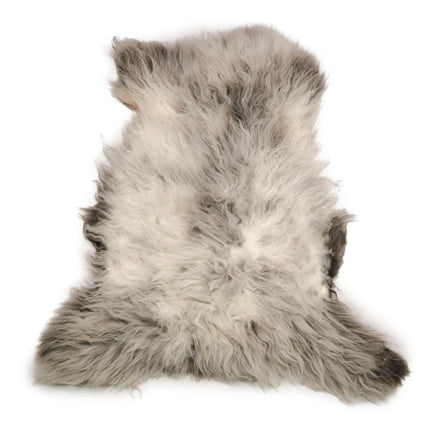 licht grijze blauwe texelaar vacht