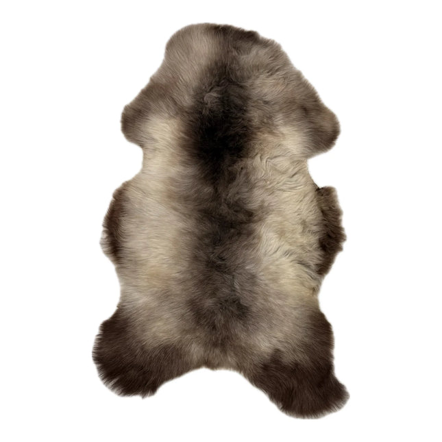 Texelse schapenvachten blauwe texelaar ras