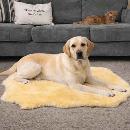 Schapenvacht hond groot