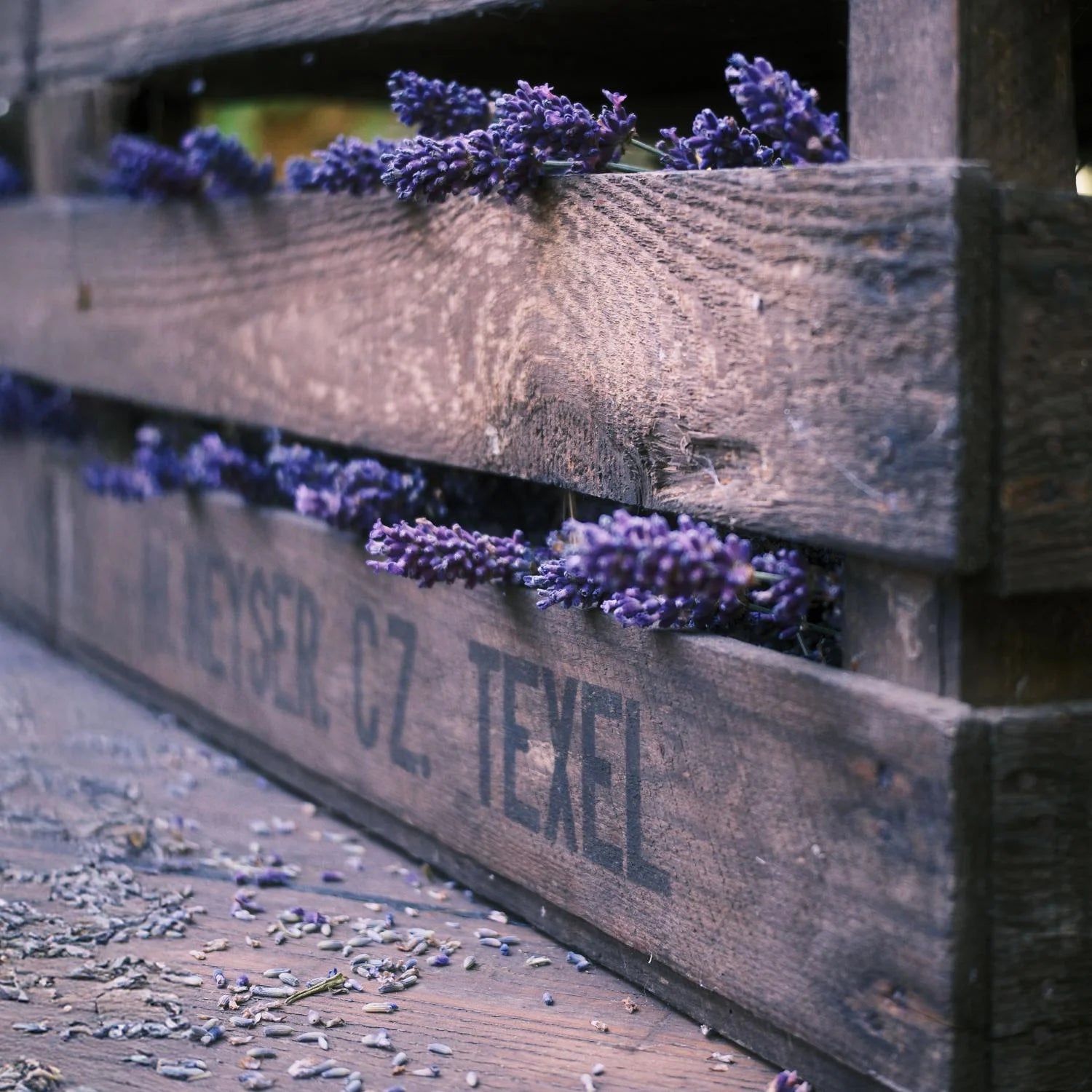 Kussenspray, rustgevende geur met lavendel, 100 ml Kussenspray, rustgevende geur met lavendel, 100 ml