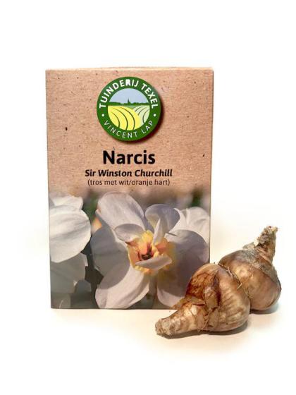 narcis Texel