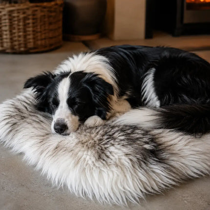 Schapenvacht voor hond moeflon zwart wit