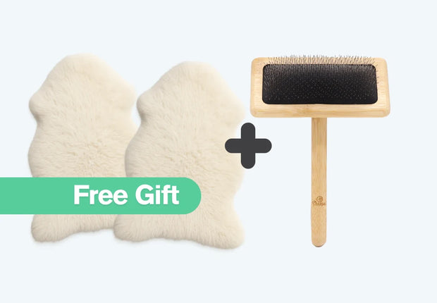 Need a sheepskin comb?