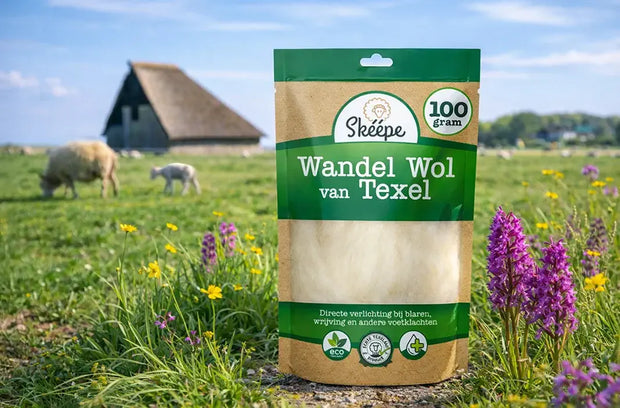 <h3>Texelse </h3><h2>Wandelwol</h2>