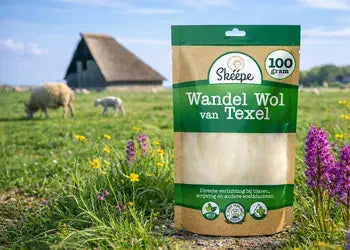 <h3>Texelse </h3><h2>Wandelwol</h2>