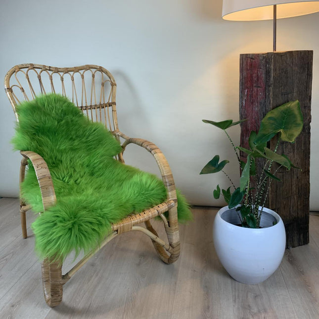 appelgroene schapenvacht van Texel
