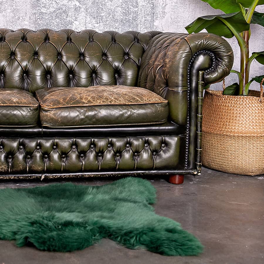 Echt Texelse schapenvacht, geverfd in de kleur donkergroen – Texelse Producten Echt Texelse schapenvacht, geverfd in de kleur donkergroen – Texelse Producten