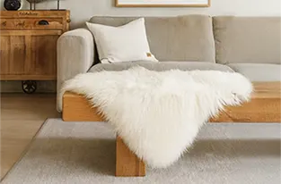 Texelse schapenvacht header